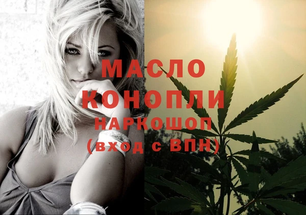 мет Ельня