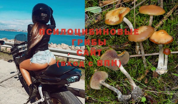 apvp Заволжск